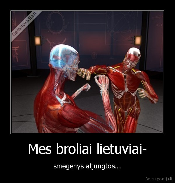 Mes broliai lietuviai- - smegenys atjungtos...