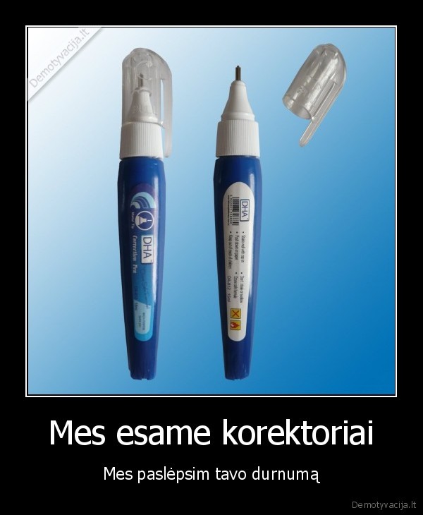 Mes esame korektoriai - Mes paslėpsim tavo durnumą