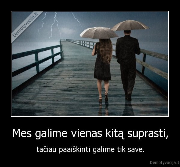 Mes galime vienas kitą suprasti, - tačiau paaiškinti galime tik save.