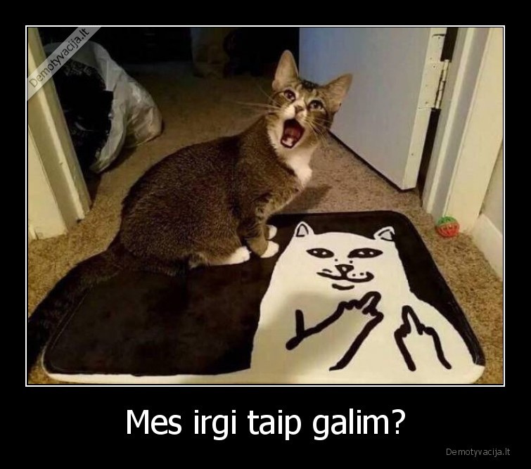 Mes irgi taip galim? - 