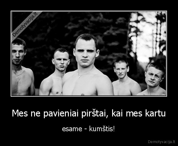 Mes ne pavieniai pirštai, kai mes kartu - esame - kumštis!