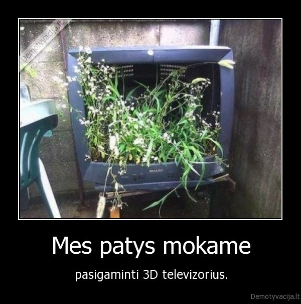 Mes patys mokame - pasigaminti 3D televizorius.