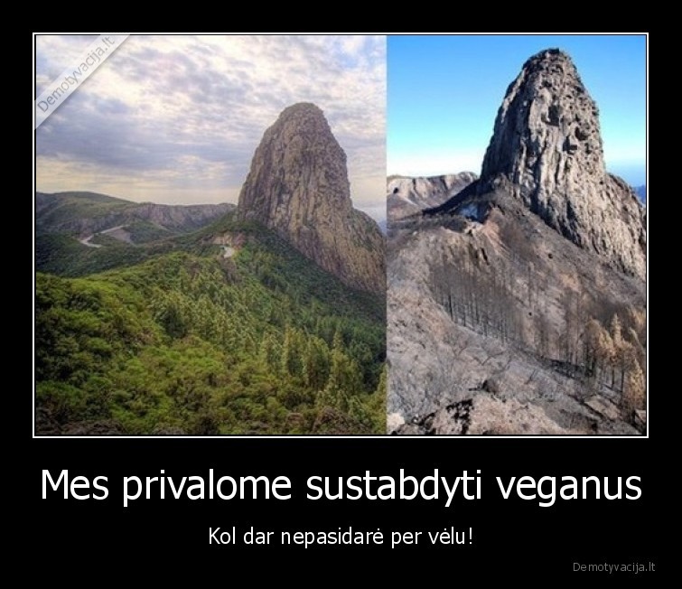 Mes privalome sustabdyti veganus - Kol dar nepasidarė per vėlu!