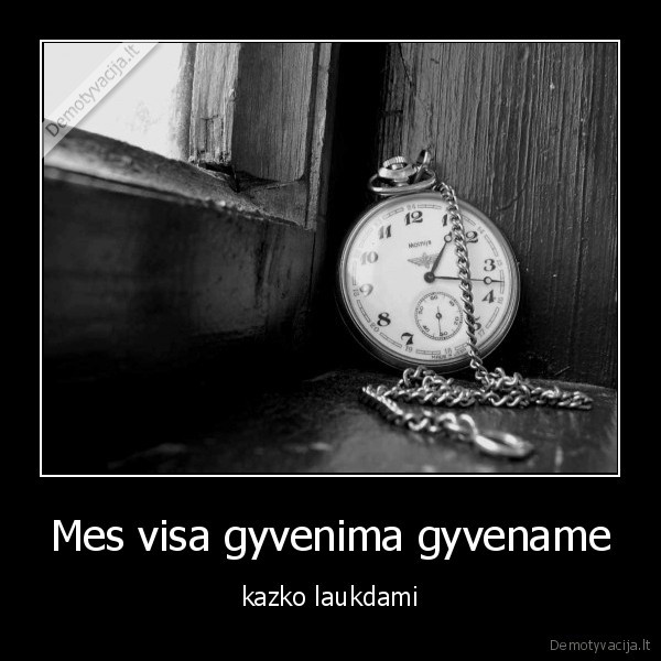 Mes visa gyvenima gyvename - kazko laukdami