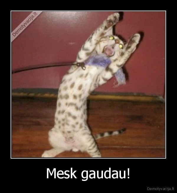 Mesk gaudau! - 