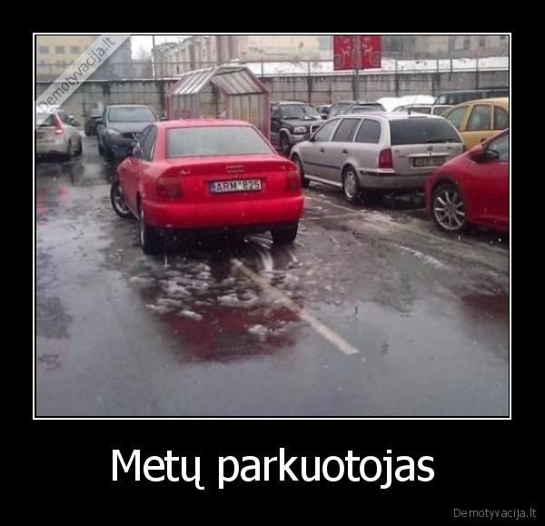 Metų parkuotojas - 