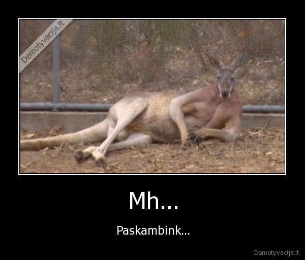 Mh... - Paskambink...