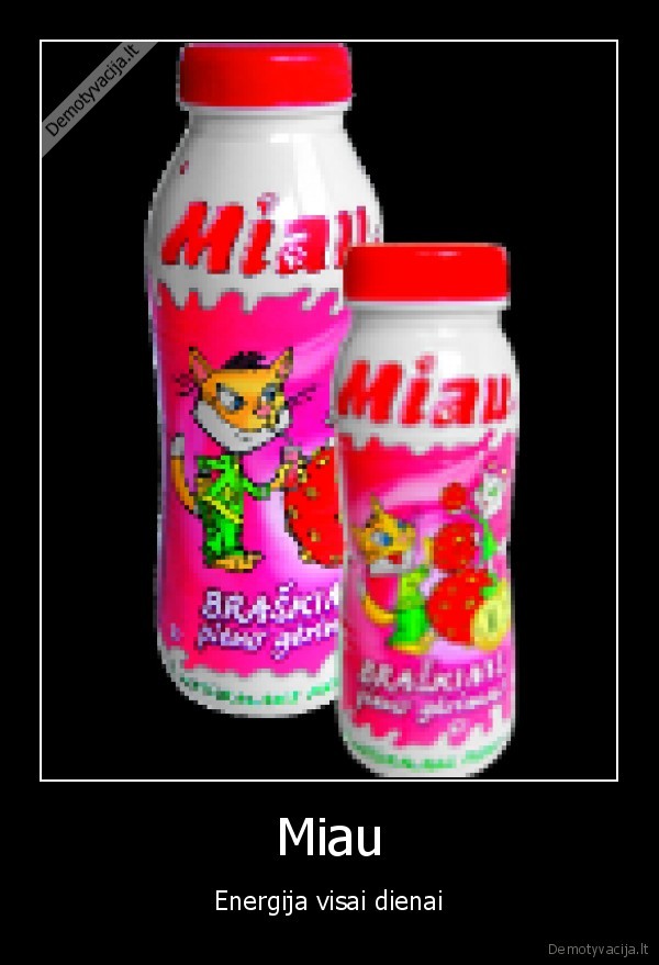 Miau - Energija visai dienai