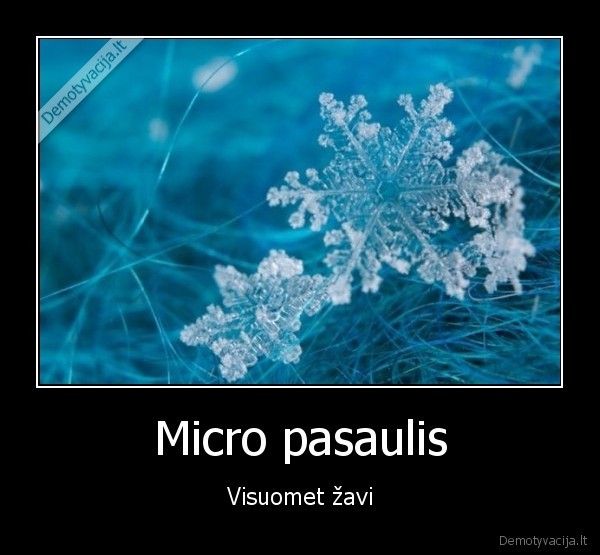 Micro pasaulis - Visuomet žavi