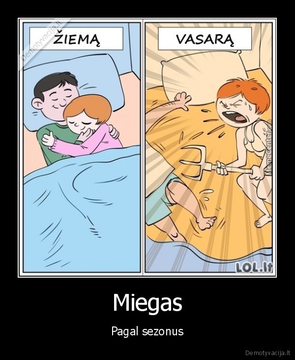 Miegas - Pagal sezonus