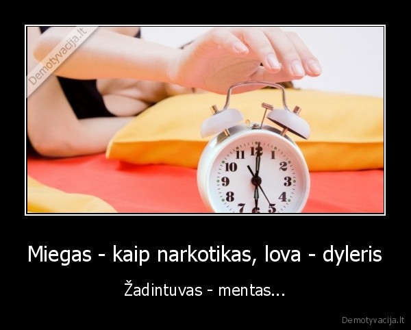 Miegas - kaip narkotikas, lova - dyleris - Žadintuvas - mentas...