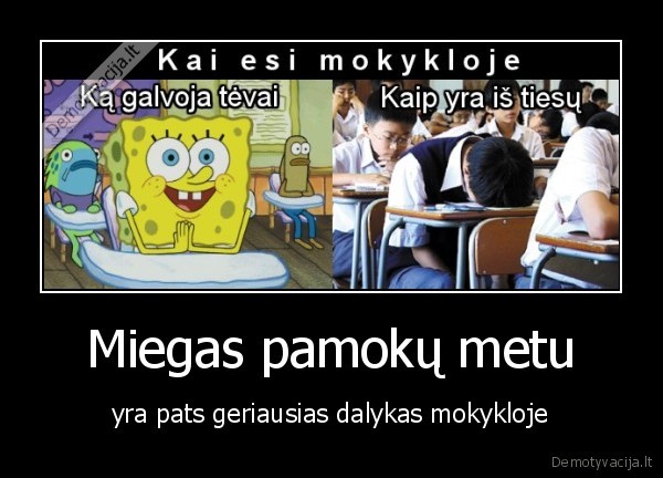 Miegas pamokų metu - yra pats geriausias dalykas mokykloje