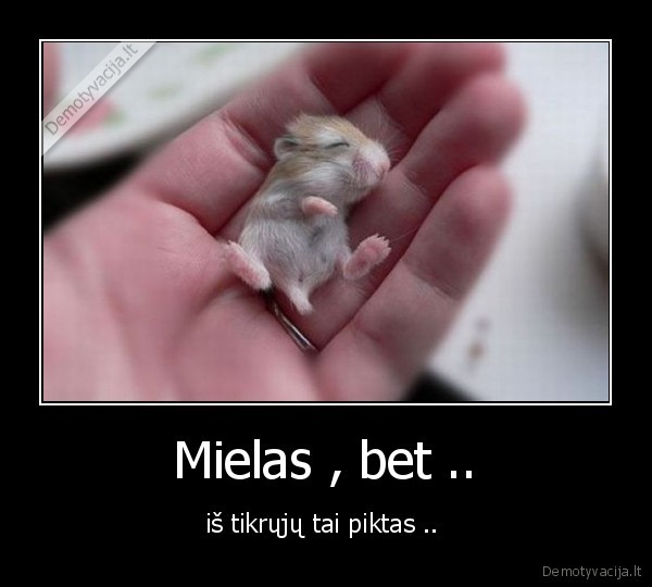 Mielas , bet .. - iš tikrųjų tai piktas .. 