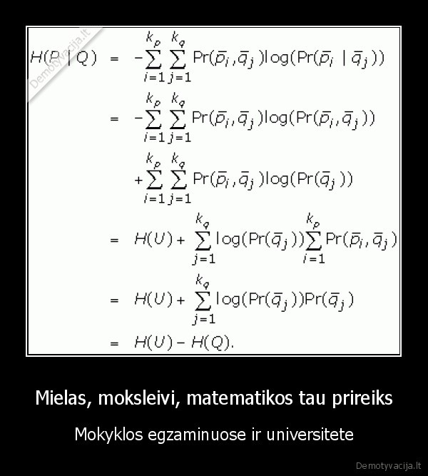 Mielas, moksleivi, matematikos tau prireiks - Mokyklos egzaminuose ir universitete