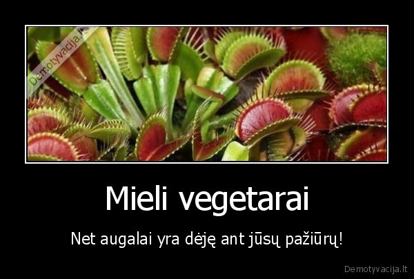 Mieli vegetarai - Net augalai yra dėję ant jūsų pažiūrų!