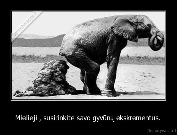 Mielieji , susirinkite savo gyvūnų ekskrementus.  - 