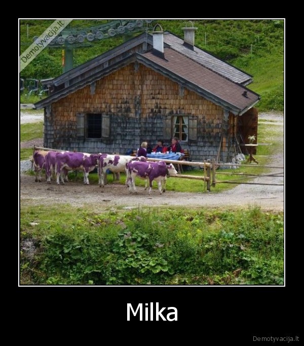 Milka - 