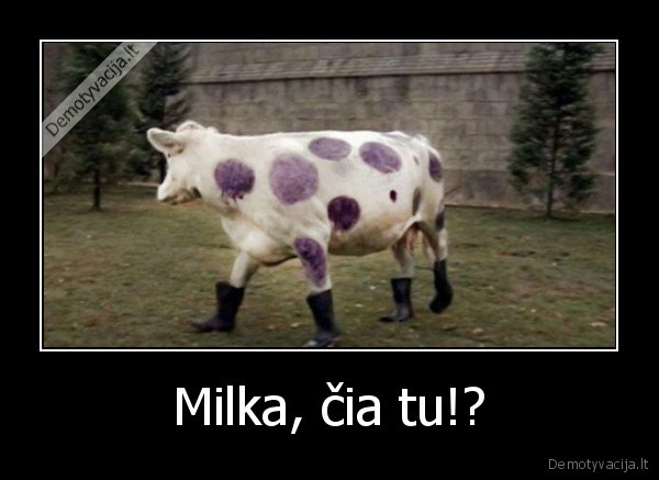 Milka, čia tu!? - 