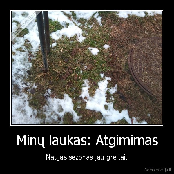 Minų laukas: Atgimimas - Naujas sezonas jau greitai.