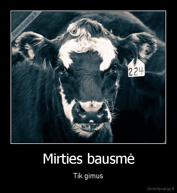 Mirties bausmė - Tik gimus