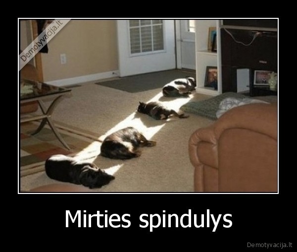 Mirties spindulys - 