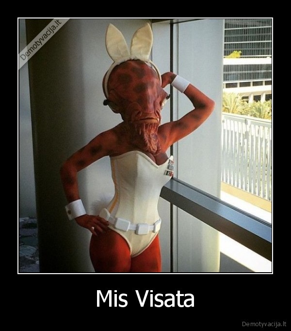 Mis Visata - 