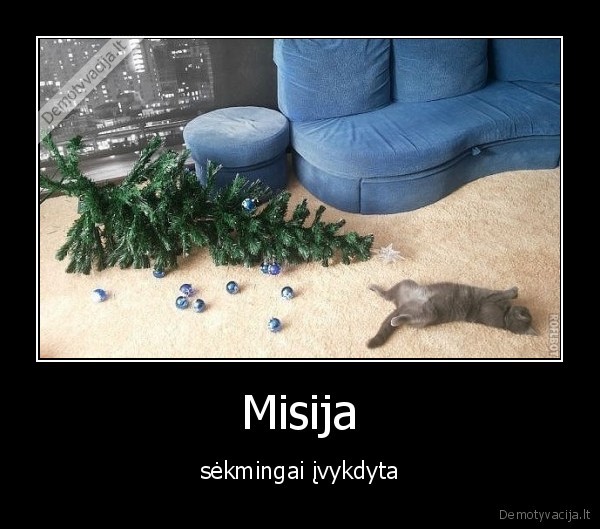 Misija - sėkmingai įvykdyta