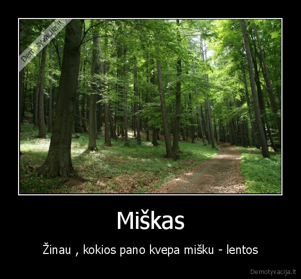 Miškas - Žinau , kokios pano kvepa mišku - lentos