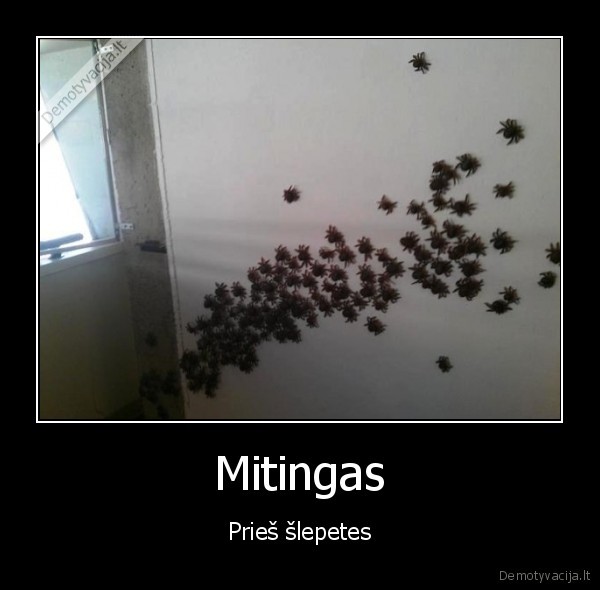 Mitingas - Prieš šlepetes