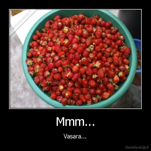 Mmm... - Vasara...