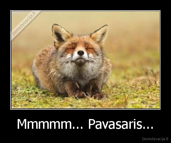 Mmmmm... Pavasaris... - 