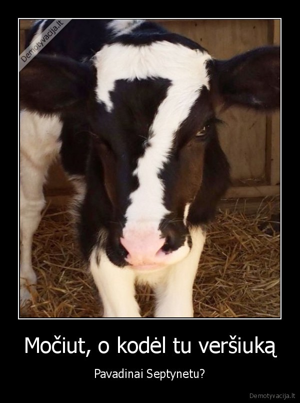 Močiut, o kodėl tu veršiuką - Pavadinai Septynetu?