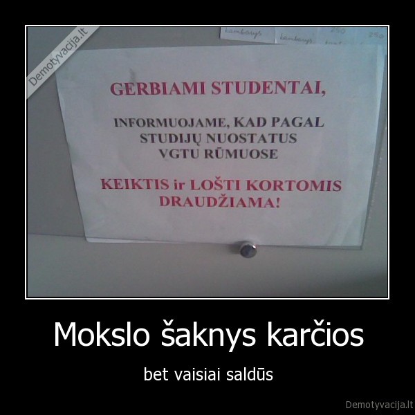 Mokslo šaknys karčios - bet vaisiai saldūs