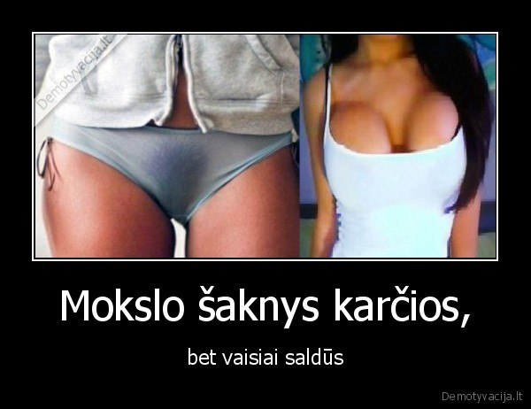 Mokslo šaknys karčios, - bet vaisiai saldūs