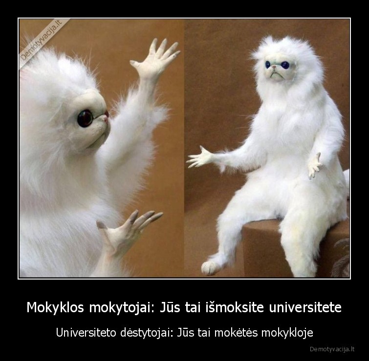 Mokyklos mokytojai: Jūs tai išmoksite universitete - Universiteto dėstytojai: Jūs tai mokėtės mokykloje