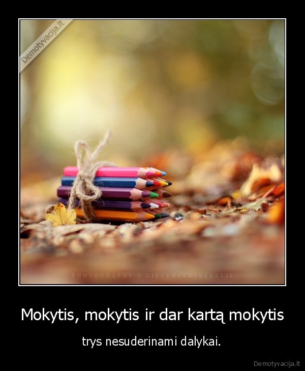 Mokytis, mokytis ir dar kartą mokytis - trys nesuderinami dalykai.