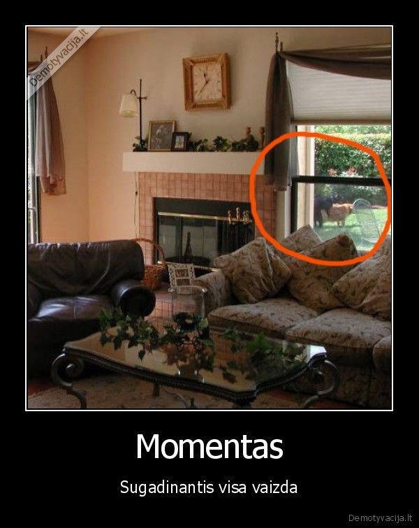 Momentas - Sugadinantis visa vaizda
