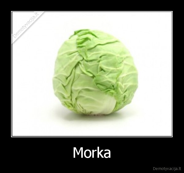 Morka - 