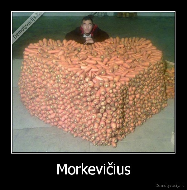 Morkevičius - 