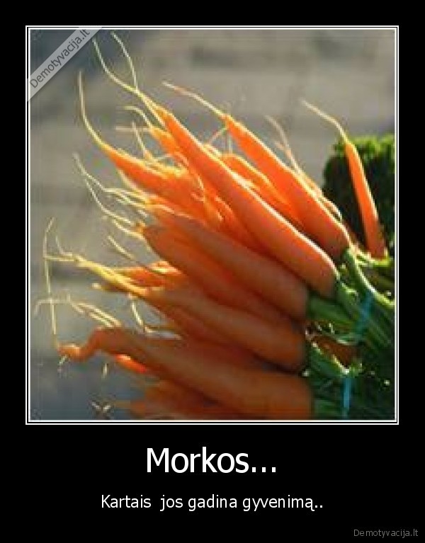 Morkos... - Kartais  jos gadina gyvenimą..