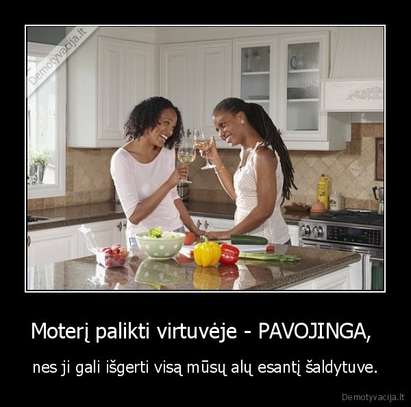 Moterį palikti virtuvėje - PAVOJINGA,  - nes ji gali išgerti visą mūsų alų esantį šaldytuve.