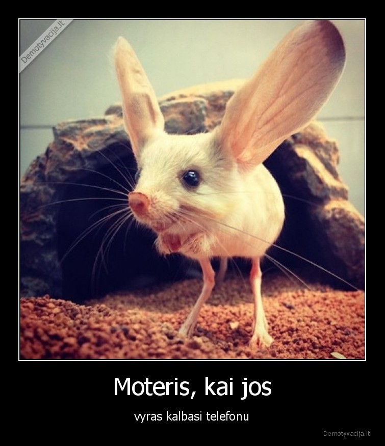 Moteris, kai jos - vyras kalbasi telefonu