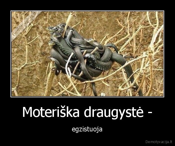 Moteriška draugystė - - egzistuoja