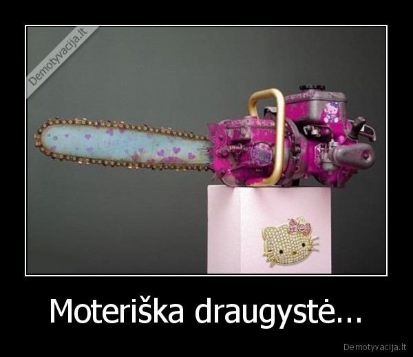 Moteriška draugystė... - 