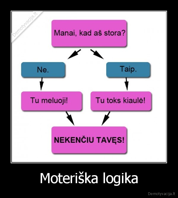 Moteriška logika - 