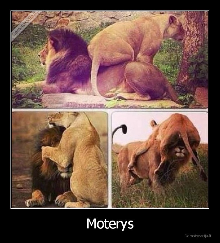 Moterys - 