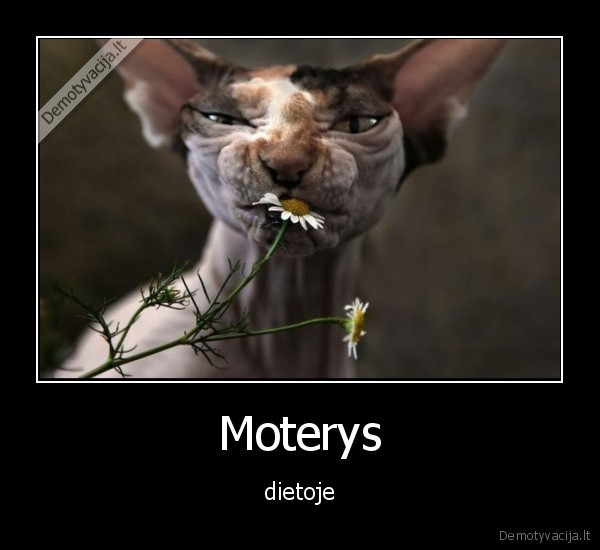 Moterys - dietoje