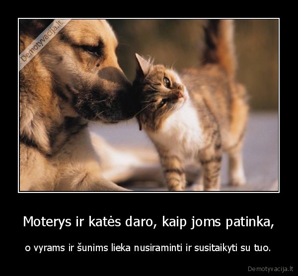 Moterys ir katės daro, kaip joms patinka, - o vyrams ir šunims lieka nusiraminti ir susitaikyti su tuo.