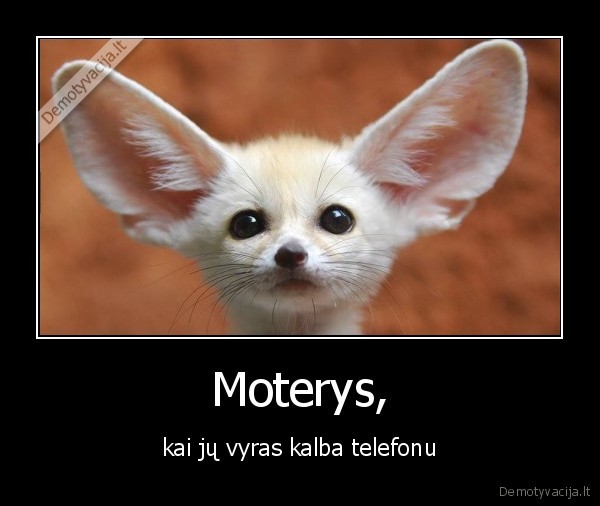 Moterys, - kai jų vyras kalba telefonu