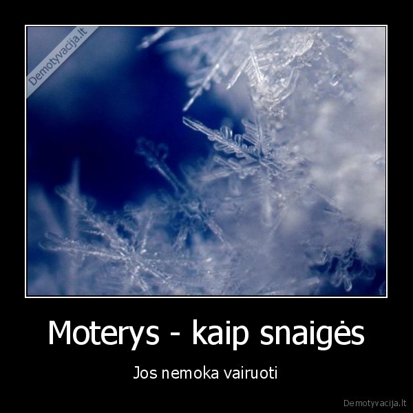 Moterys - kaip snaigės - Jos nemoka vairuoti